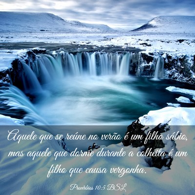 Picture 03 - Provérbios 10:5 BSL - Aquele que se reúne no verão é um filho - Bible Verse Picture