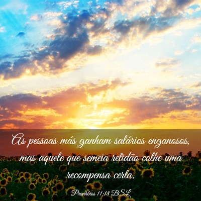 Picture 03 - Provérbios 11:18 BSL - As pessoas más ganham salários enganosos, mas - Bible Verse Picture