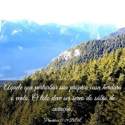 Picture 03 - Provérbios 11:29 BSL - Aquele que perturbar sua própria casa herdará o - Bible Verse Picture