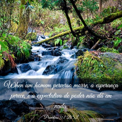 Picture 03 - Provérbios 11:7 BSL - When um homem perverso morre, a esperança - Bible Verse Picture