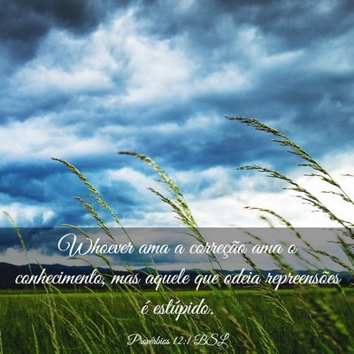 Picture 03 - Provérbios 12:1 BSL - Whoever ama a correção ama o conhecimento, mas - Bible Verse Picture