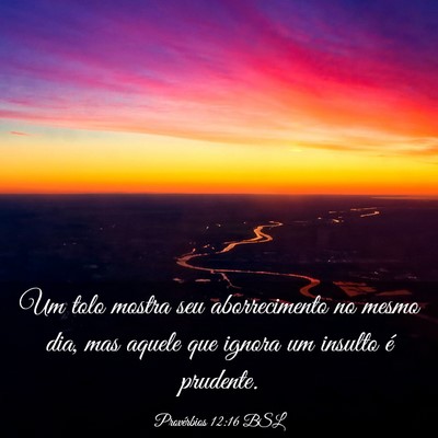 Picture 03 - Provérbios 12:16 BSL - Um tolo mostra seu aborrecimento no mesmo dia, - Bible Verse Picture
