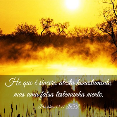 Picture 03 - Provérbios 12:17 BSL - He que é sincero atesta honestamente, mas uma - Bible Verse Picture