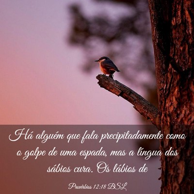 Picture 03 - Provérbios 12:18 BSL - Há alguém que fala precipitadamente como o - Bible Verse Picture