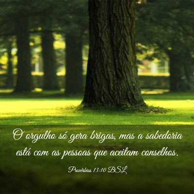 Picture 03 - Provérbios 13:10 BSL - O orgulho só gera brigas, mas a sabedoria está - Bible Verse Picture