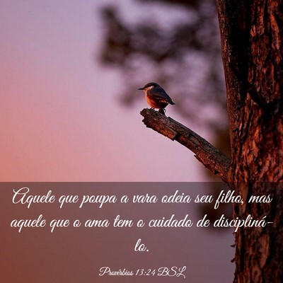 Picture 03 - Provérbios 13:24 BSL - Aquele que poupa a vara odeia seu filho, mas - Bible Verse Picture