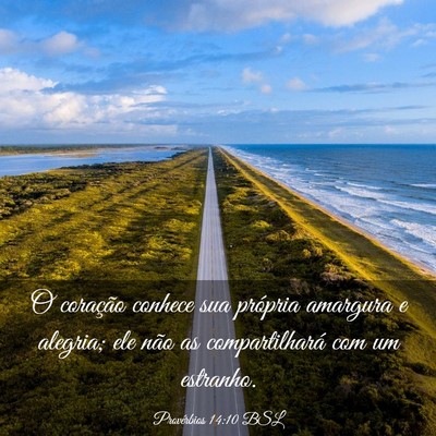 Picture 03 - Provérbios 14:10 BSL - O coração conhece sua própria amargura e - Bible Verse Picture
