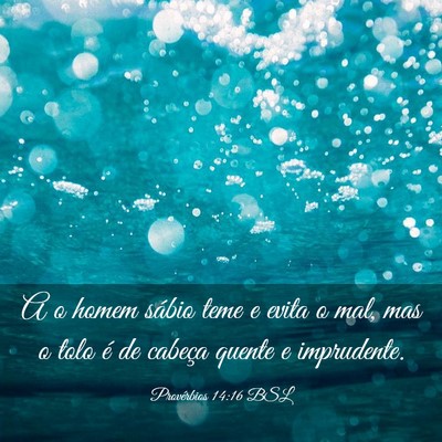 Picture 03 - Provérbios 14:16 BSL - A o homem sábio teme e evita o mal, mas o tolo - Bible Verse Picture