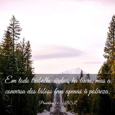 Picture 03 - Provérbios 14:23 BSL - Em todo trabalho árduo, há lucro, mas a - Bible Verse Picture