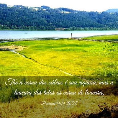 Picture 03 - Provérbios 14:24 BSL - The a coroa dos sábios é sua riqueza, mas a - Bible Verse Picture