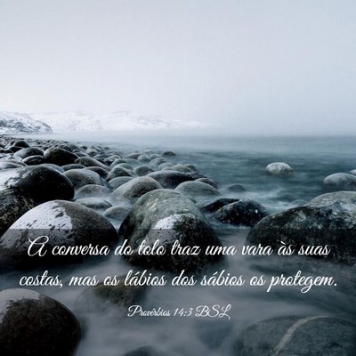 Picture 03 - Provérbios 14:3 BSL - A conversa do tolo traz uma vara às suas costas, - Bible Verse Picture
