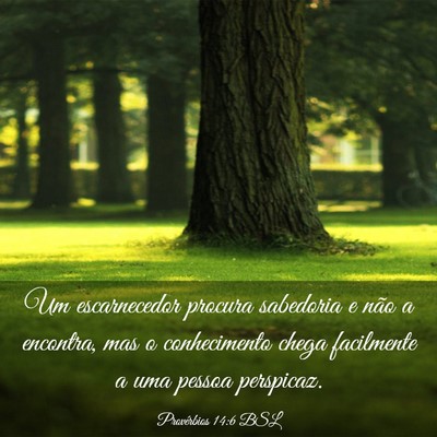 Picture 03 - Provérbios 14:6 BSL - Um escarnecedor procura sabedoria e não a - Bible Verse Picture