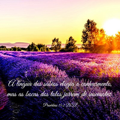 Picture 03 - Provérbios 15:2 BSL - A língua dos sábios elogia o conhecimento, mas - Bible Verse Picture