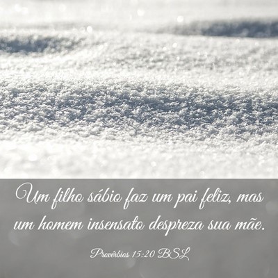 Picture 03 - Provérbios 15:20 BSL - Um filho sábio faz um pai feliz, mas um homem - Bible Verse Picture