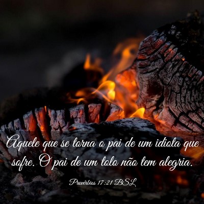 Picture 03 - Provérbios 17:21 BSL - Aquele que se torna o pai de um idiota que sofre. - Bible Verse Picture