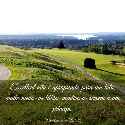Picture 03 - Provérbios 17:7 BSL - Excellent não é apropriado para um tolo, muito - Bible Verse Picture