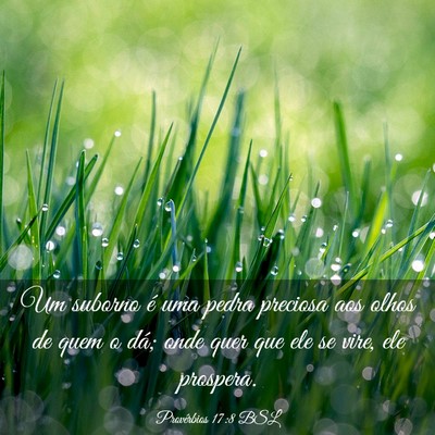 Picture 03 - Provérbios 17:8 BSL - Um suborno é uma pedra preciosa aos olhos de - Bible Verse Picture