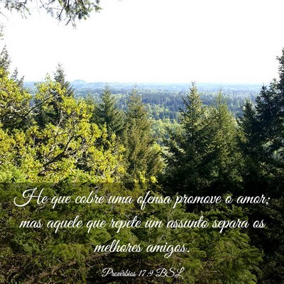 Picture 03 - Provérbios 17:9 BSL - He que cobre uma ofensa promove o amor; mas - Bible Verse Picture