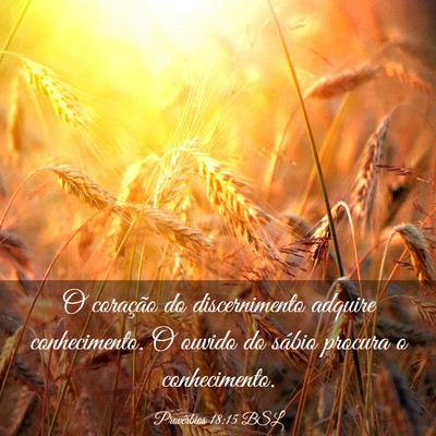 Picture 03 - Provérbios 18:15 BSL - O coração do discernimento adquire - Bible Verse Picture