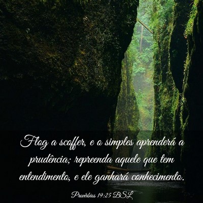 Picture 03 - Provérbios 19:25 BSL - Flog a scoffer, e o simples aprenderá a - Bible Verse Picture