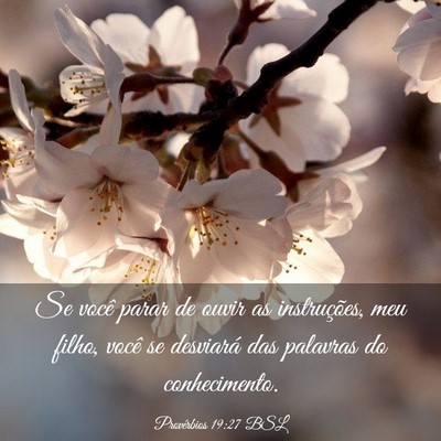 Picture 03 - Provérbios 19:27 BSL - Se você parar de ouvir as instruções, meu - Bible Verse Picture