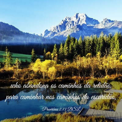 Picture 03 - Provérbios 2:13 BSL - who abandona os caminhos da retidão, para - Bible Verse Picture
