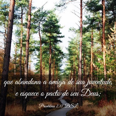 Picture 03 - Provérbios 2:17 BSL - que abandona a amiga de sua juventude, e esquece - Bible Verse Picture