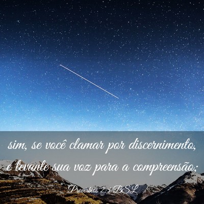 Picture 03 - Provérbios 2:3 BSL - sim, se você clamar por discernimento, e levante - Bible Verse Picture