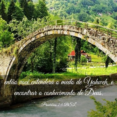 Picture 03 - Provérbios 2:5 BSL - então você entenderá o medo de Yahweh, e - Bible Verse Picture