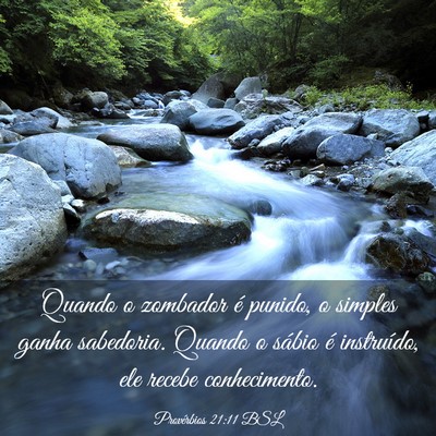 Picture 03 - Provérbios 21:11 BSL - Quando o zombador é punido, o simples ganha - Bible Verse Picture