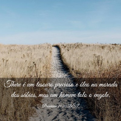 Picture 03 - Provérbios 21:20 BSL - There é um tesouro precioso e óleo na morada - Bible Verse Picture