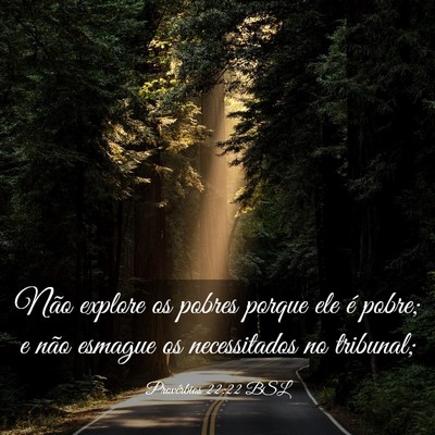 Picture 03 - Provérbios 22:22 BSL - Não explore os pobres porque ele é pobre; e - Bible Verse Picture
