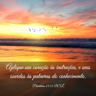 Picture 03 - Provérbios 23:12 BSL - Aplique seu coração às instruções, e seus - Bible Verse Picture