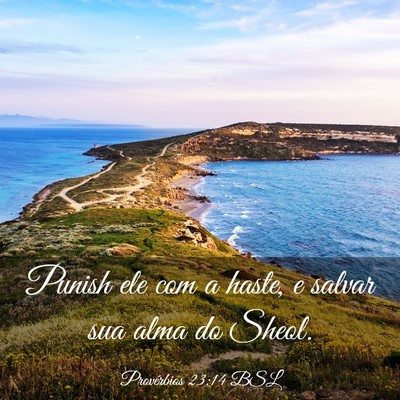 Picture 03 - Provérbios 23:14 BSL - Punish ele com a haste, e salvar sua alma do - Bible Verse Picture