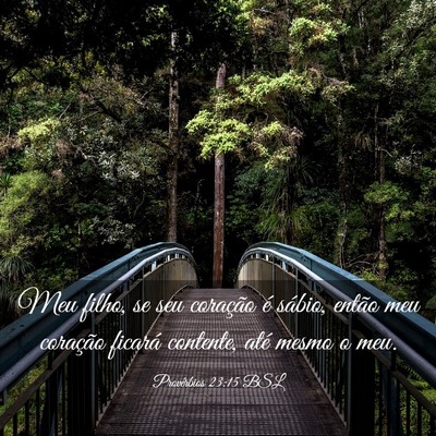 Picture 03 - Provérbios 23:15 BSL - Meu filho, se seu coração é sábio, então meu - Bible Verse Picture