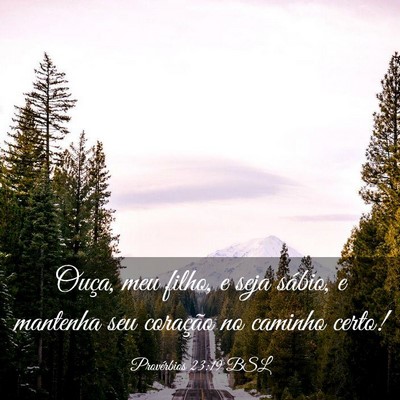Picture 03 - Provérbios 23:19 BSL - Ouça, meu filho, e seja sábio, e mantenha seu - Bible Verse Picture