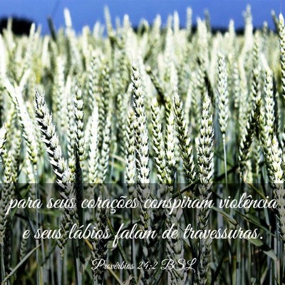 Picture 03 - Provérbios 24:2 BSL - para seus corações conspiram violência e seus - Bible Verse Picture