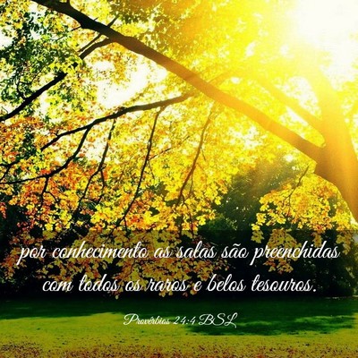 Picture 03 - Provérbios 24:4 BSL - por conhecimento as salas são preenchidas com - Bible Verse Picture
