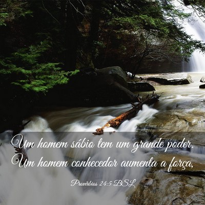 Picture 03 - Provérbios 24:5 BSL - Um homem sábio tem um grande poder. Um homem - Bible Verse Picture