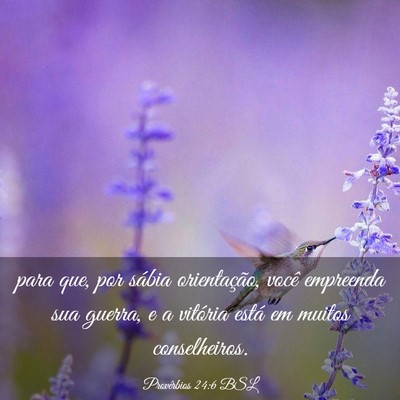 Picture 03 - Provérbios 24:6 BSL - para que, por sábia orientação, você - Bible Verse Picture