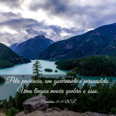 Picture 03 - Provérbios 25:15 BSL - Pela paciência, um governante é persuadido. Uma - Bible Verse Picture