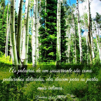 Picture 03 - Provérbios 26:22 BSL - As palavras de um sussurrante são como - Bible Verse Picture