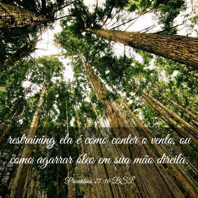 Picture 03 - Provérbios 27:16 BSL - restraining ela é como conter o vento, ou como - Bible Verse Picture