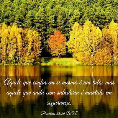 Picture 03 - Provérbios 28:26 BSL - Aquele que confia em si mesmo é um tolo; mas - Bible Verse Picture