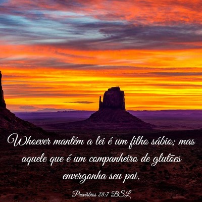 Picture 03 - Provérbios 28:7 BSL - Whoever mantém a lei é um filho sábio; mas - Bible Verse Picture
