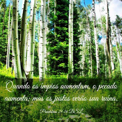 Picture 03 - Provérbios 29:16 BSL - Quando os ímpios aumentam, o pecado aumenta; mas - Bible Verse Picture