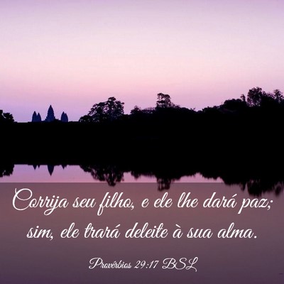 Picture 03 - Provérbios 29:17 BSL - Corrija seu filho, e ele lhe dará paz; sim, ele - Bible Verse Picture