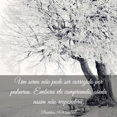 Picture 03 - Provérbios 29:19 BSL - Um servo não pode ser corrigido por palavras. - Bible Verse Picture