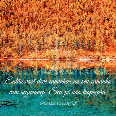 Picture 03 - Provérbios 3:23 BSL - Então você deve caminhar no seu caminho com - Bible Verse Picture