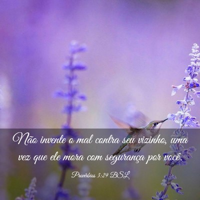 Picture 03 - Provérbios 3:29 BSL - Não invente o mal contra seu vizinho, uma vez - Bible Verse Picture